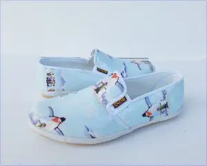 birdsnowblueshoes