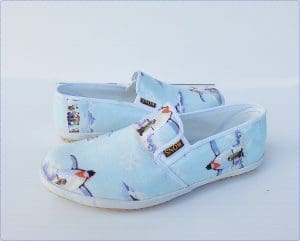 birdsnowblueshoes